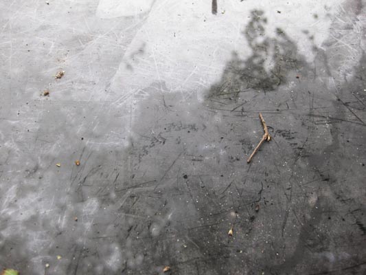 sporen