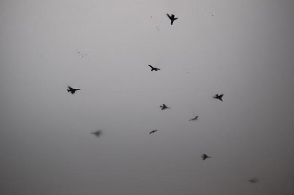 04